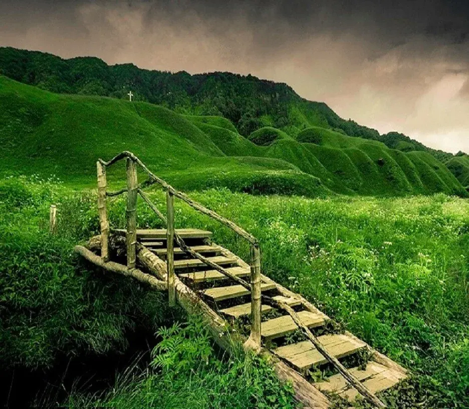 A wooden footbridge over a stream in the green hills of Dzukou Valley