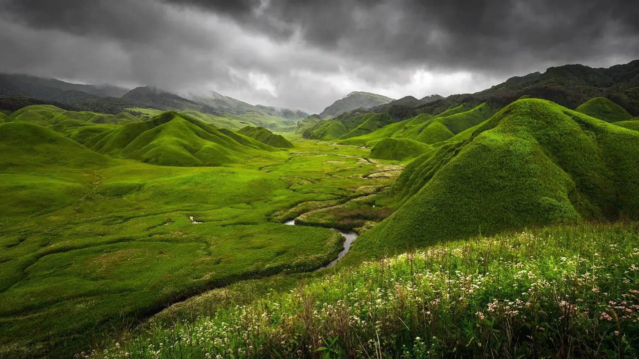 The rolling green bowl of Dzukou Valley under a cloudy sky