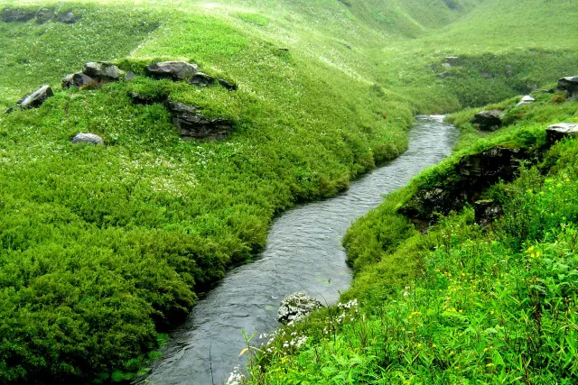A river winding through the lush green slopes of Dzukou Valley